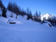 continua il tratto  migliore (da 5 stelle ) nel bosco...