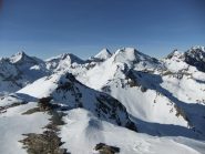 punta di leppe in primo piano