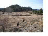 SI RIPRENDE LA SALITA...