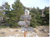 LA SEGNALETICAA E' CONVINCENTE