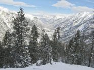 Parte centrale del bosco