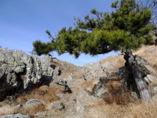 paesaggio caratteristico