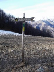 colletto di Cagera