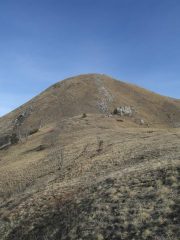 la vetta dal colle Arpiola