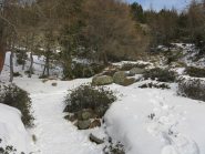 la prima parte del sentiero nel bosco