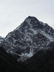 Nord-est Asta..una delle grandi firme di Calcagno