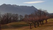 la dorsale dal Gregorio al Bec Renon dalla Serra