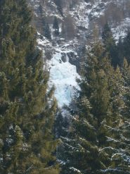 Salto centrale