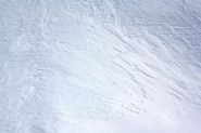 diagnostica della neve - 2