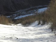 Parte superiore del bosco e Tournoux.