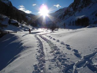 nel piano all'uscita dal bosco