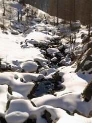 Torrente Grande Lazoney dal ponte a 1723 m