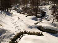 Dopo il ponte, dal bivio col 6b, il sentiero 6 non è più battuto