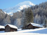 Wasenalp e Terrarossa