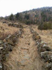 bella mulattiera sotto la Mad. della Bassa