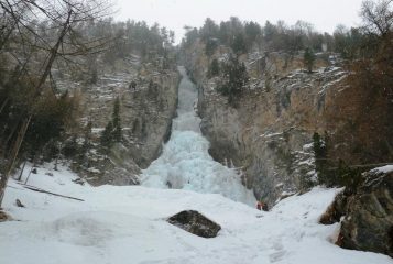 La F.d.C. il 28-01-2012