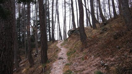 Bel sentiero in salita