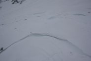 neve a placche