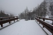 situazione neve al ritorno - 2