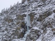 condizioni 29/01/2012