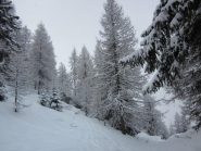 paesaggio fiabesco