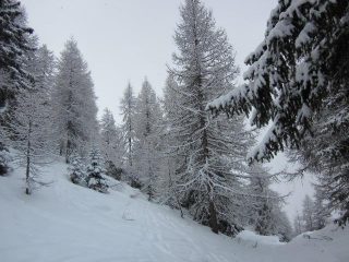paesaggio fiabesco