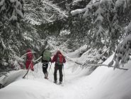 salendo nel bosco