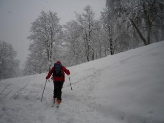 Parco San Vito