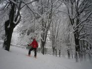 magia della nevicata