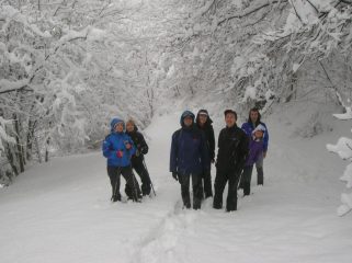 il gruppo