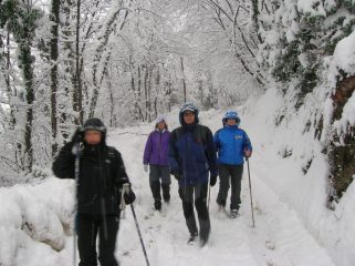 sulla via del rientro