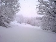 La magia della neve in collina
