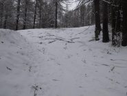 i rami sulla pista in salita