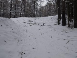 i rami sulla pista in salita