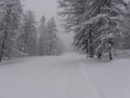 02 - in salita lungo la Faciacià. Una passata del fatto aiuta a salire, ma sopra ci sono già 15 cm di neve caduta oggi
