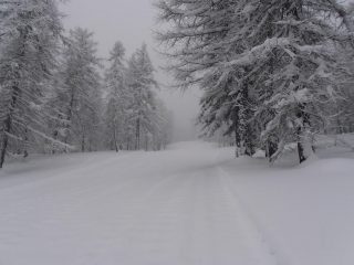 02 - in salita lungo la Faciacià. Una passata del fatto aiuta a salire, ma sopra ci sono già 15 cm di neve caduta oggi