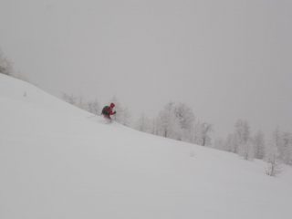 Matte che se la gode...