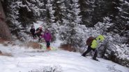 nel bosco sul sent n16  