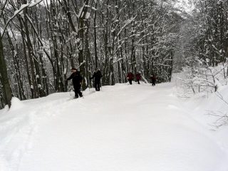 Sulla strada