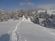 09 - traccia sudata 7 camicie...