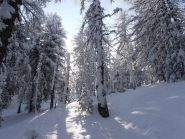 12 - il sole inganna... fanno -10 o -15 sotto zero...