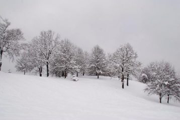 nei pressi di Pian del Lot