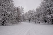 nel Parco S.Vito