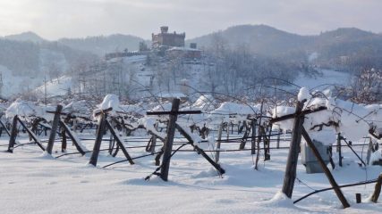 Castellar dai savarnot