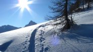 Tracce di silenzio.....