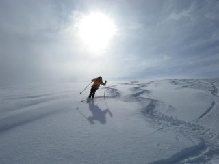 powder