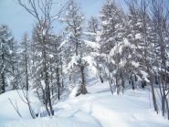 Quasi in cima: ambiente fiabesco!