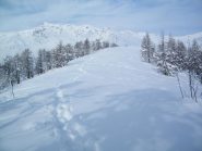 La dorsale sommitale
