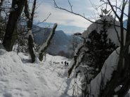 una scorciatoia nel bosco