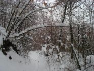 un paesaggio da fiaba